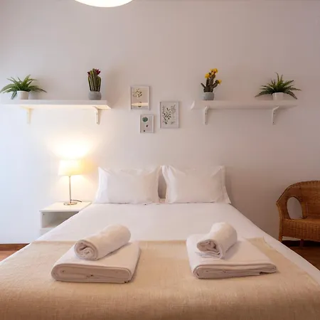 Botanic Jungle At Downtown * 포르투