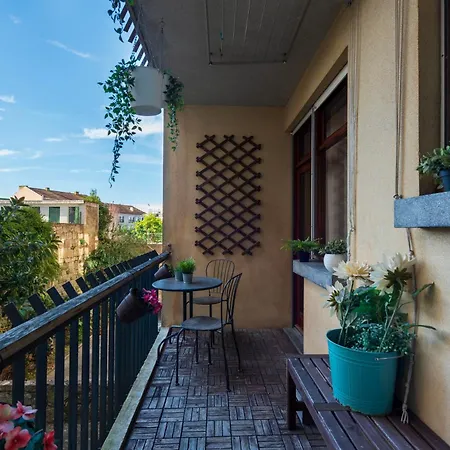 Botanic Jungle At Downtown *