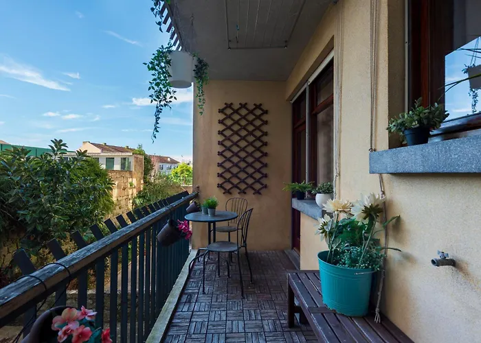 Botanic Jungle At Downtown *